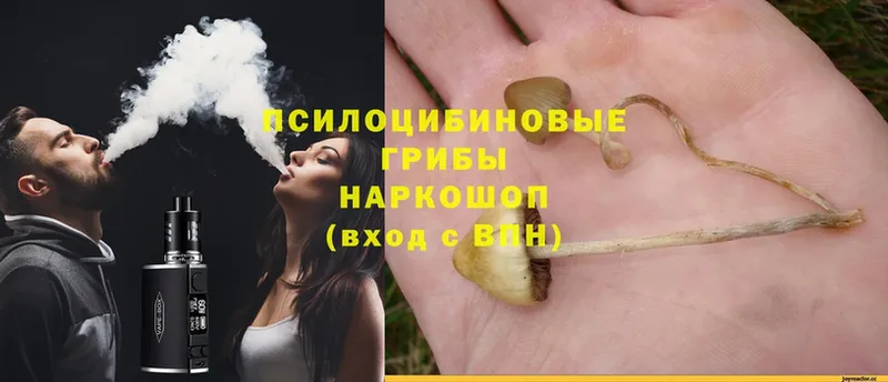 Галлюциногенные грибы Magic Shrooms  где можно купить   Богучар 